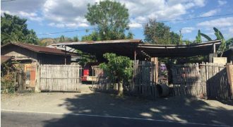 Foreclosed Residential Lot in Patnongon, Antique (Bangko Sentral ng Pilipinas)
