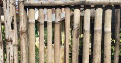 Foreclosed House and Lot in Patnongon, Antique (Bangko Sentral ng Pilipinas)