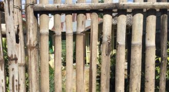Foreclosed House and Lot in Patnongon, Antique (Bangko Sentral ng Pilipinas)