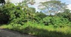 Foreclosed Property in Pototan, Iloilo (Bangko Sentral ng Pilipinas)