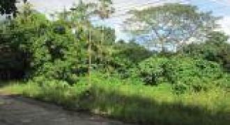 Foreclosed Property in Pototan, Iloilo (Bangko Sentral ng Pilipinas)