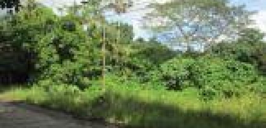 Foreclosed Property in Pototan, Iloilo (Bangko Sentral ng Pilipinas)