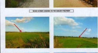 Foreclosed Agricultural Lot in Mangatarem, Pangasinan · Lot 18689 (Bangko Sentral ng Pilipinas)