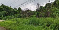 Foreclosed Residential Lot in Subic, Zambales