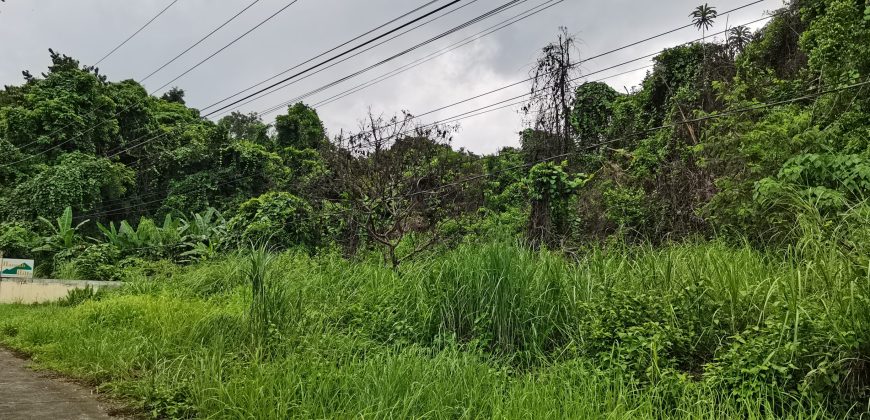 Foreclosed Residential Lot in Subic, Zambales