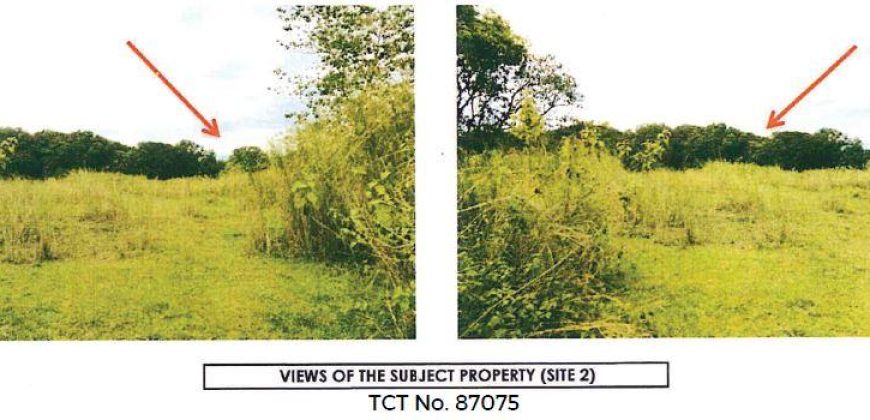 Foreclosed Property in Villasis, Pangasinan (Bangko Sentral ng Pilipinas)