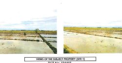 Foreclosed Property in Villasis, Pangasinan · Lot 3815-B (Bangko Sentral ng Pilipinas)