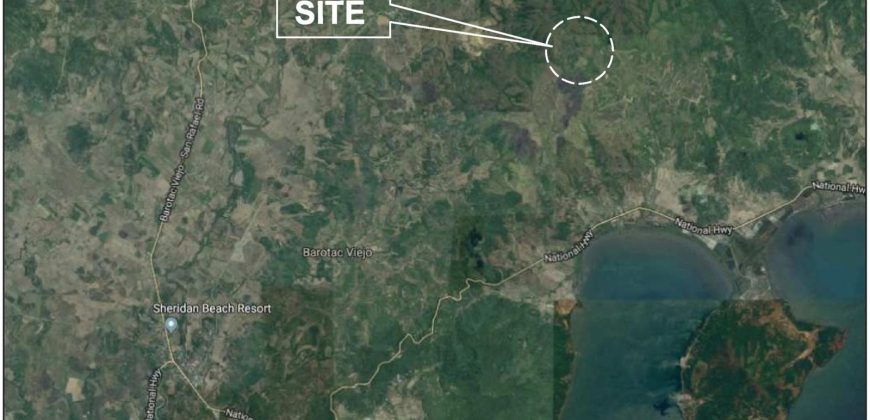 Foreclosed Agricultural Lot in Barotac Viejo, Iloilo (Bangko Sentral ng Pilipinas)