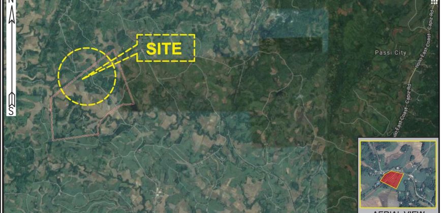 Foreclosed Agricultural Lot in Passi City