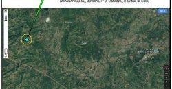 Foreclosed Property in Lambunao, Iloilo, Visayas