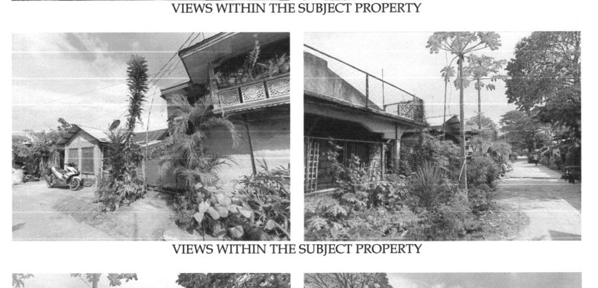 Foreclosed Residential Lot in San Enrique, Negros Occidental (Philippine Veterans Bank)
