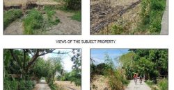 Foreclosed Residential Lot in Victoria, Tarlac