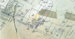 Foreclosed Residential Lot in Barotac Nuevo, Iloilo (Bangko Sentral ng Pilipinas)