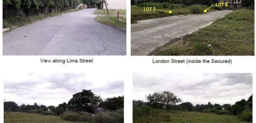 Foreclosed Residential Lot in Las Pinas City, Metro Manila · Lot 3 Blk 35 (Bangko Sentral ng Pilipinas)