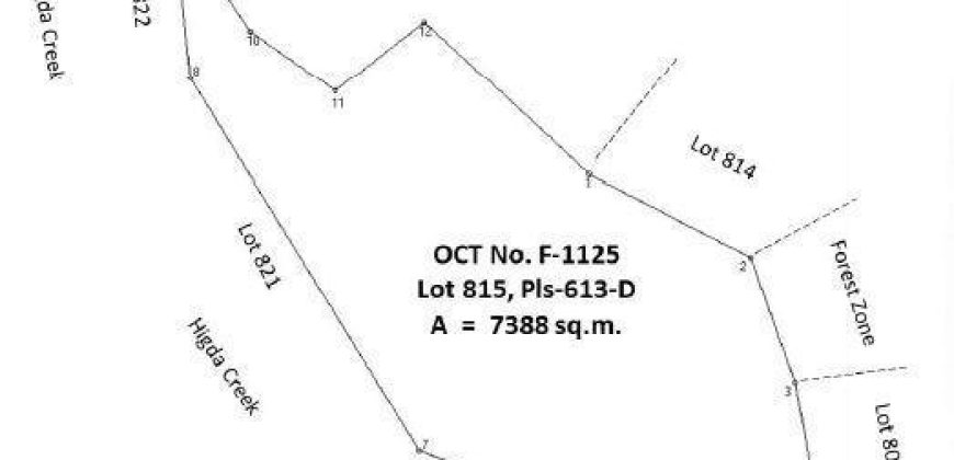 Foreclosed Property in Igbaras, Iloilo · Lot 815 (Bangko Sentral ng Pilipinas)