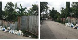 Foreclosed Residential Lot in Paranaque, Metro Manila · Lot 12 Blk 4 (Bangko Sentral ng Pilipinas)