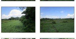 Foreclosed Property in Bani, Pangasinan (Bangko Sentral ng Pilipinas)