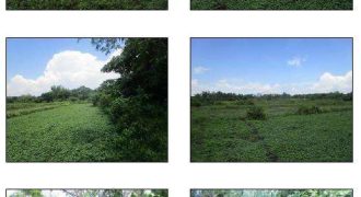 Foreclosed Property in Bani, Pangasinan (Bangko Sentral ng Pilipinas)