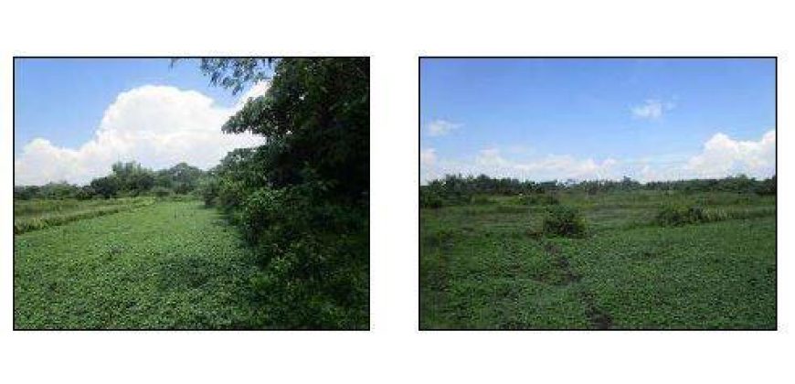 Foreclosed Property in Bani, Pangasinan (Bangko Sentral ng Pilipinas)