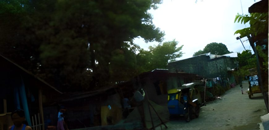Foreclosed Residential Lot in San Jose, Occidental Mindoro