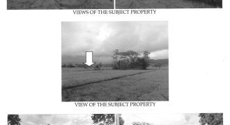 Foreclosed Agricultural Lot in Calinog, Iloilo · Lot 6242 (Philippine Veterans Bank)