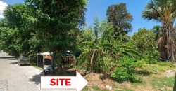 Foreclosed Residential Lot in Mangatarem, Pangasinan (Bangko Sentral ng Pilipinas)