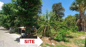 Foreclosed Residential Lot in Mangatarem, Pangasinan (Bangko Sentral ng Pilipinas)