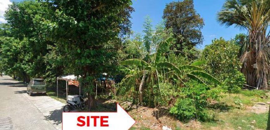 Foreclosed Residential Lot in Mangatarem, Pangasinan (Bangko Sentral ng Pilipinas)