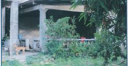 Foreclosed Residential Lot in Santa Cruz, Ilocos Sur (Philippine Veterans Bank)
