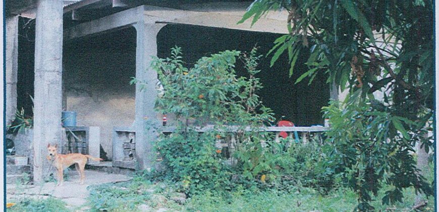 Foreclosed Residential Lot in Santa Cruz, Ilocos Sur (Philippine Veterans Bank)