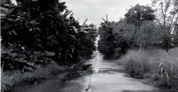 Foreclosed Residential Lot in Laurel, Batangas · Lot 1 Block 4 (Philippine Veterans Bank)