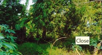 Foreclosed Residential Lot in San Miguel, Bulacan · Lot 1898-D-1-L (Philippine Veterans Bank)