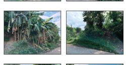 Foreclosed Property in Solana, Cagayan, Luzon #5