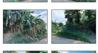 Foreclosed Property in Solana, Cagayan · Lot 7946 (Bangko Sentral ng Pilipinas)