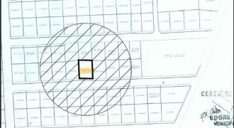 Foreclosed Residential Lot in General Mamerto Natividad, Nueva Ecija