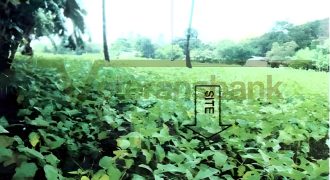 Foreclosed Residential Lot in San Jose, Occidental Mindoro