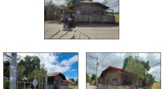Foreclosed Residential Lot in General Mamerto Natividad, Nueva Ecija