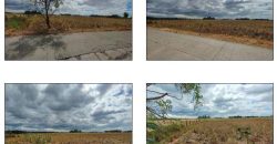 Foreclosed Residential Lot in General Mamerto Natividad, Nueva Ecija · Lot 2 (Bangko Sentral ng Pilipinas)