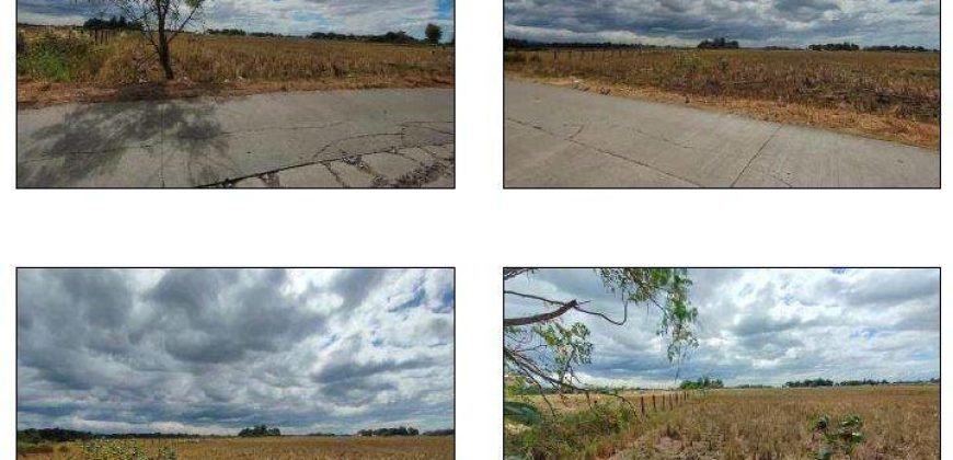 Foreclosed Residential Lot in General Mamerto Natividad, Nueva Ecija · Lot 2 (Bangko Sentral ng Pilipinas)