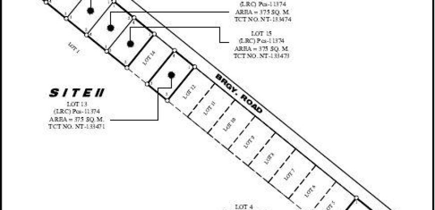 Foreclosed Residential Lot in General Mamerto Natividad, Nueva Ecija · Lot 13 (Bangko Sentral ng Pilipinas)