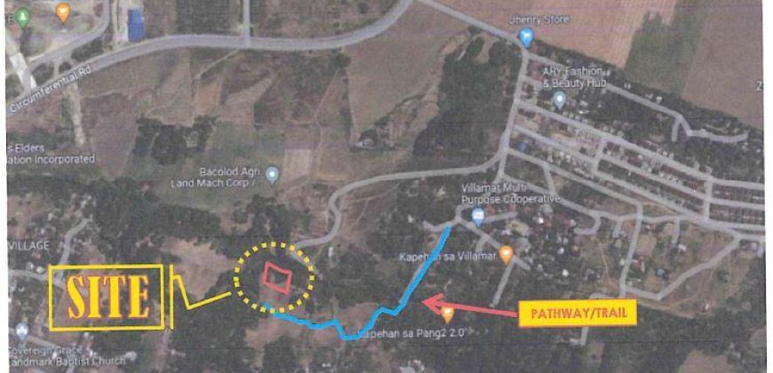 Foreclosed Agricultural Lot in Bacolod, Negros Occidental (Bangko Sentral ng Pilipinas)