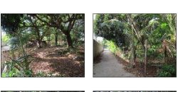 Foreclosed Residential Lot in Umingan, Pangasinan · Lot 429-C (Bangko Sentral ng Pilipinas)