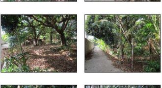 Foreclosed Residential Lot in Umingan, Pangasinan, Luzon #6