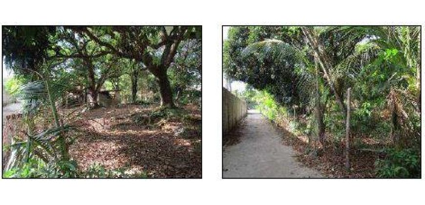 Foreclosed Residential Lot in Umingan, Pangasinan · Lot 429-C (Bangko Sentral ng Pilipinas)