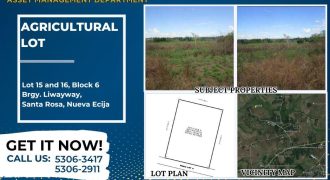 Foreclosed Property in Santa Rosa City