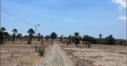 Foreclosed Residential Lot in Pozorrubio, Pangasinan · Lot 28 Block 2 (Bangko Sentral ng Pilipinas)