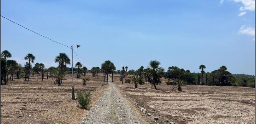 Foreclosed Residential Lot in Pozorrubio, Pangasinan