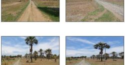 Foreclosed Residential Lot in Pozorrubio, Pangasinan · Lot H-5 (Bangko Sentral ng Pilipinas)