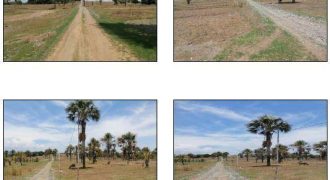 Foreclosed Residential Lot in Pozorrubio, Pangasinan · Lot H-5 (Bangko Sentral ng Pilipinas)