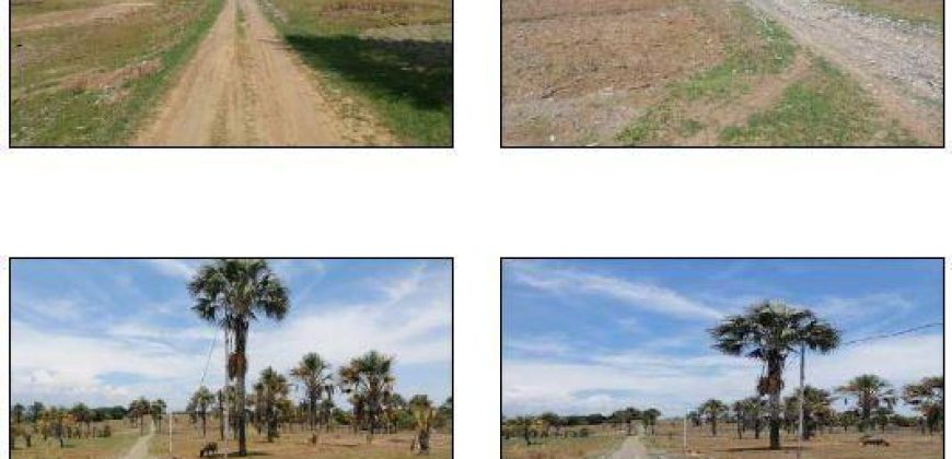 Foreclosed Residential Lot in Pozorrubio, Pangasinan · Lot H-5 (Bangko Sentral ng Pilipinas)
